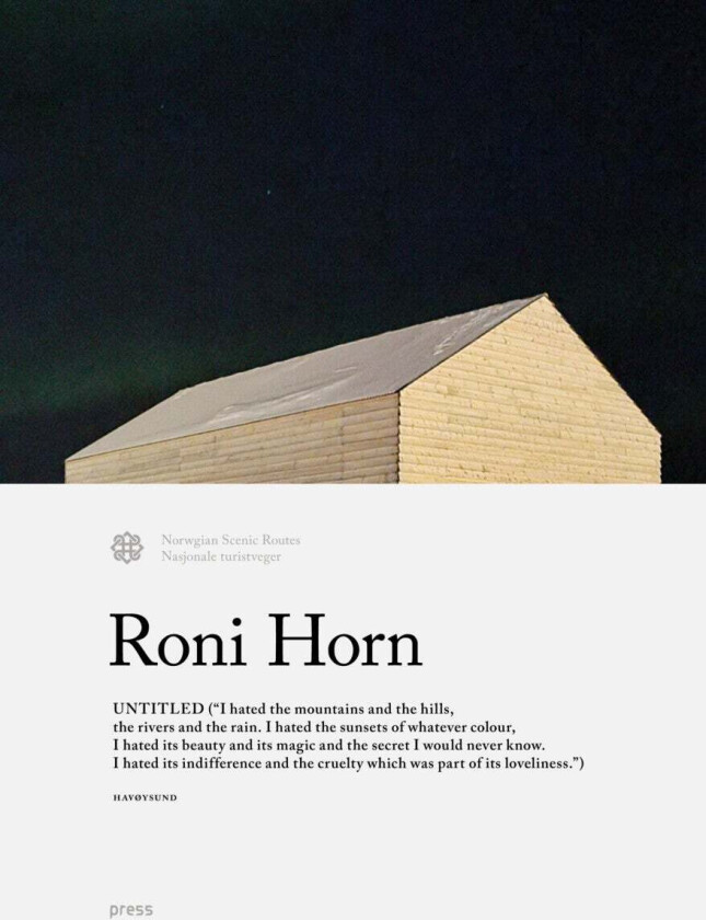 Roni Horn