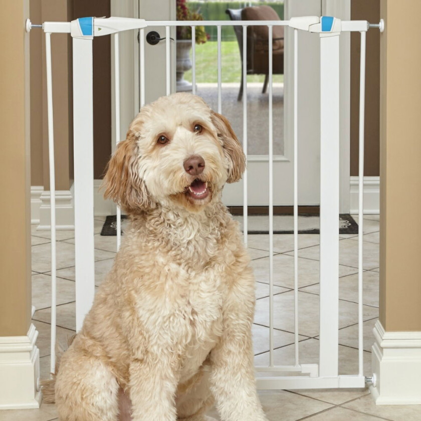 Glow Hundegrind Hvit (99 x 73-96 cm)