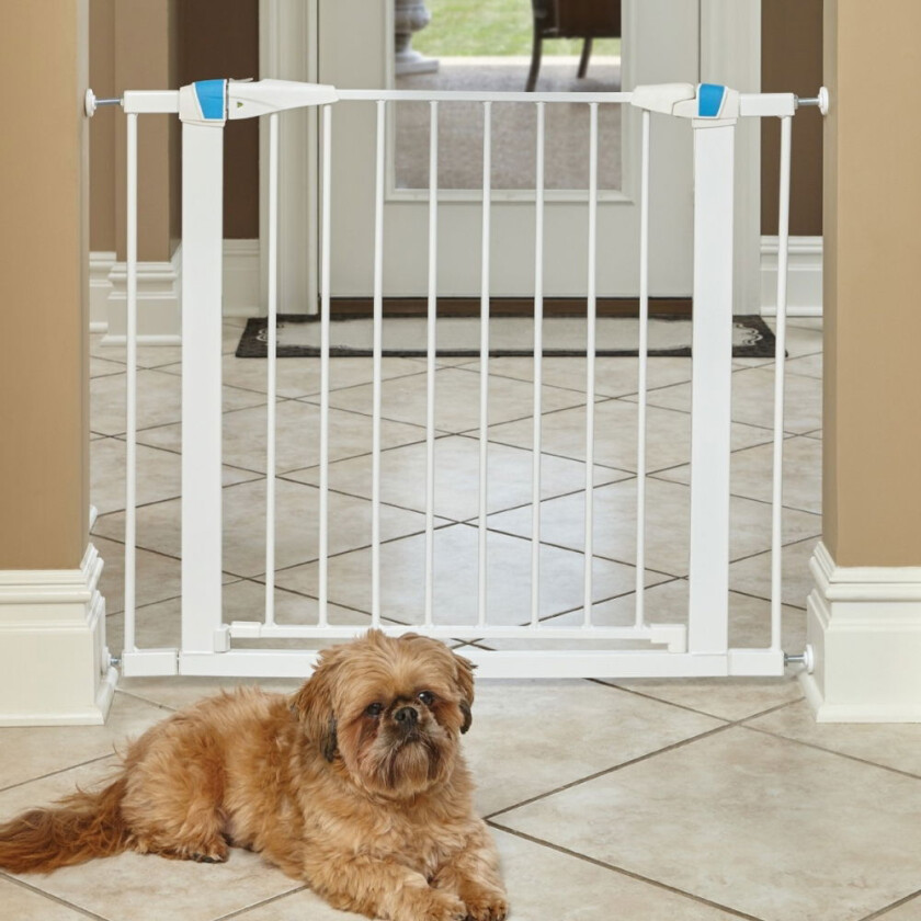 Glow Hundegrind Hvit (75 x 96.5 cm)