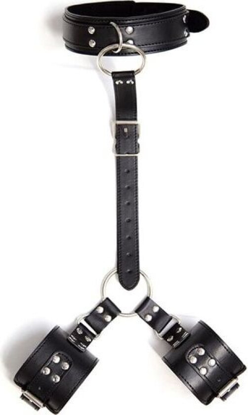 Collar With Restraints Adjustable Posisjonsholder