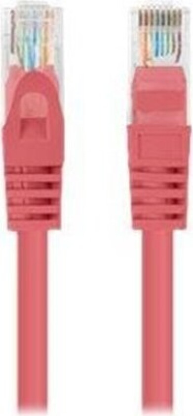 patch cable - 50 cm - RAL 3017
