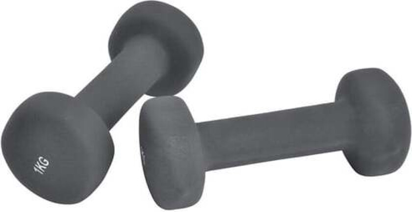 Bilde av Inshape - Fitness Dumbbells 2 x 1 kg - Svart