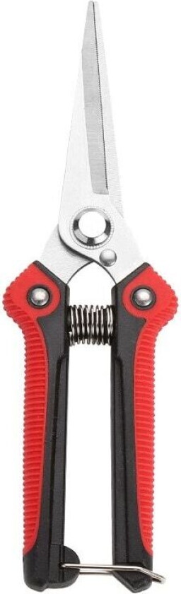 Hagesaks (Rød og Sølv)