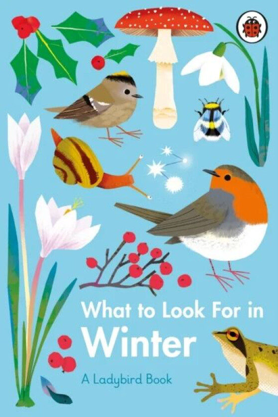What to Look For in Winter av Elizabeth Jenner