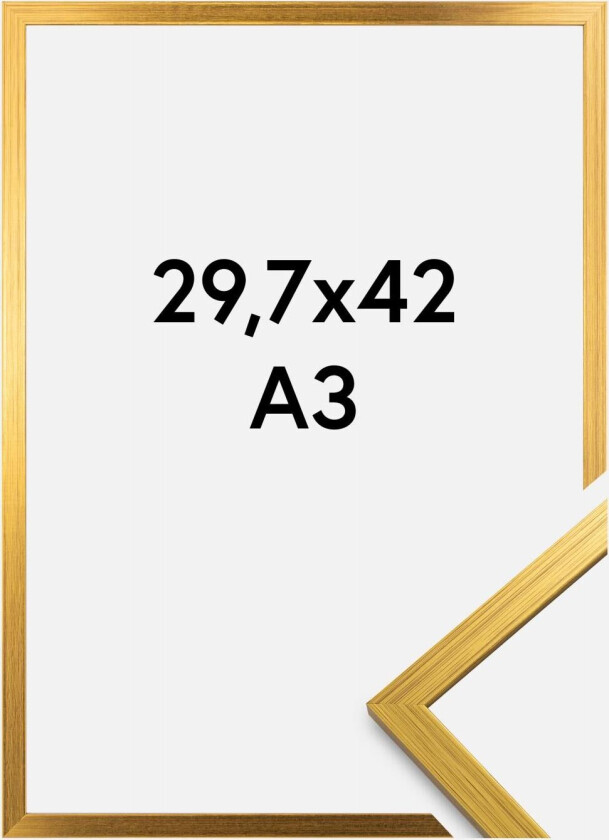 Ramme Edsbyn Akrylglass Gull 29,7x42 Cm (A3)