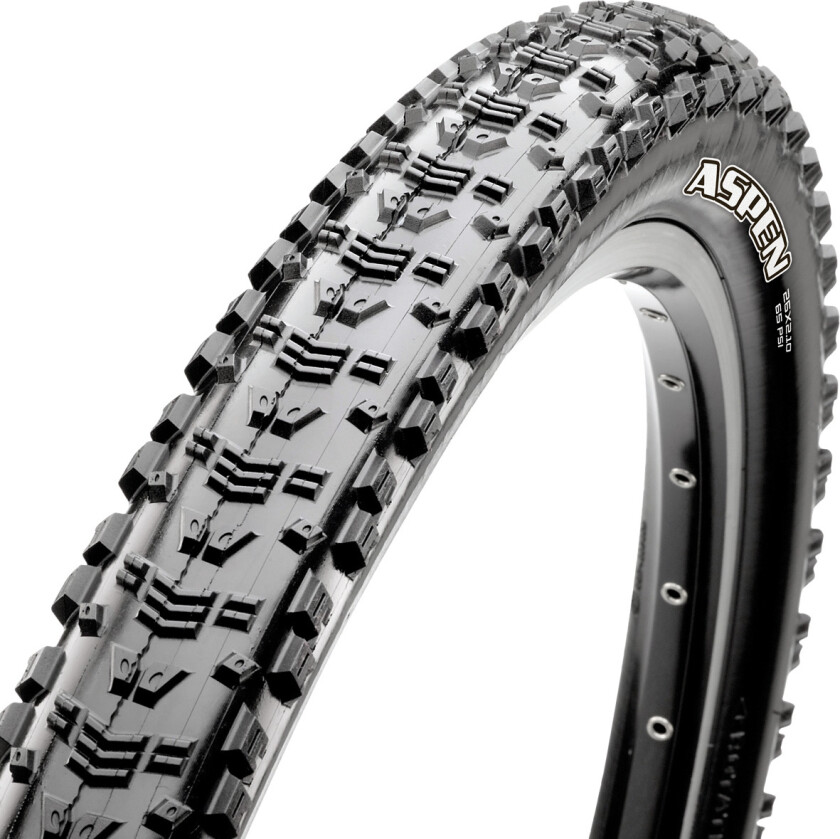 Aspen foldedekk 29 x 2.25 EXO TR