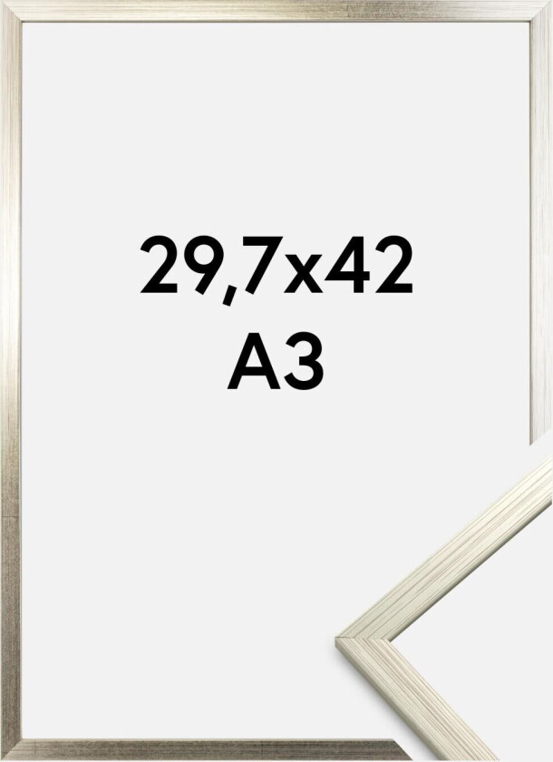 Ramme Edsbyn Akrylglass Sølv 29,7x42 Cm (A3)