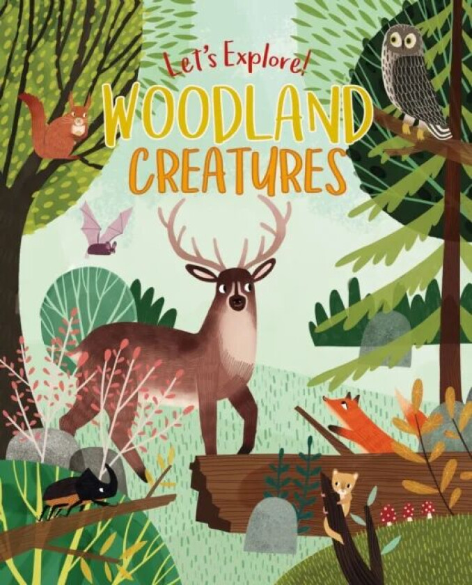 Let's Explore! Woodland Creatures av Claire Philip