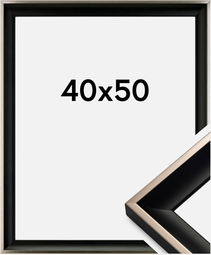 Ramme Öjaren Svart-Sølv 40x50 Cm