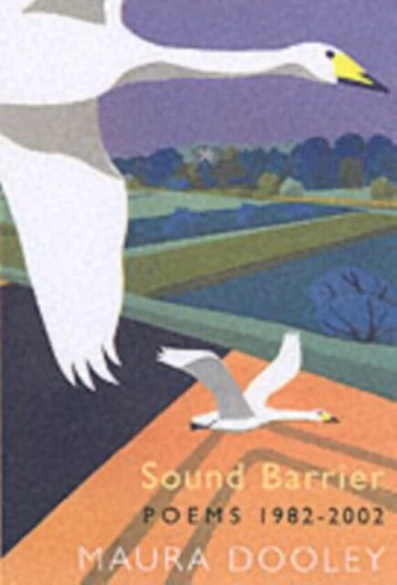 Sound Barrier av Maura Dooley