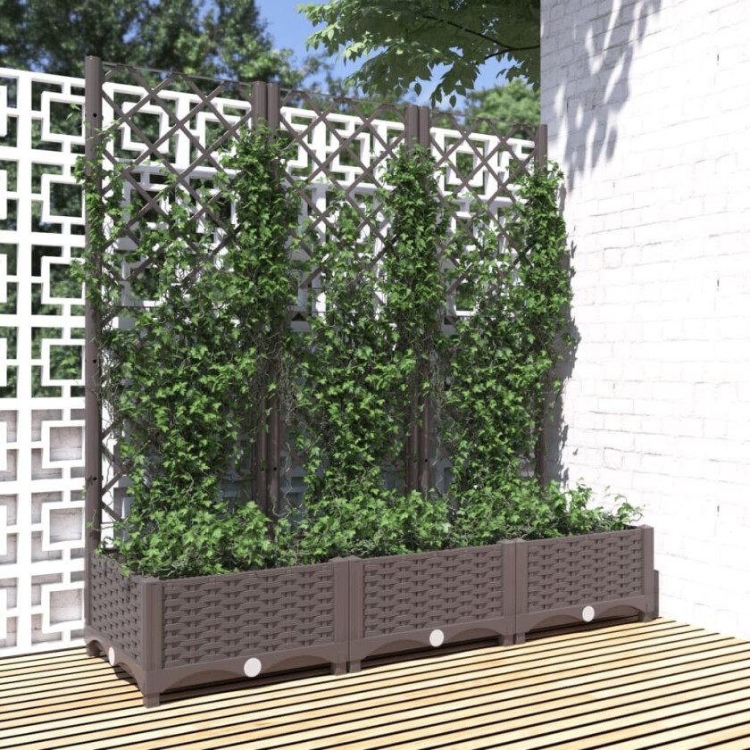 Plantekasse med espalier brun 120x40x121,5 cm PP