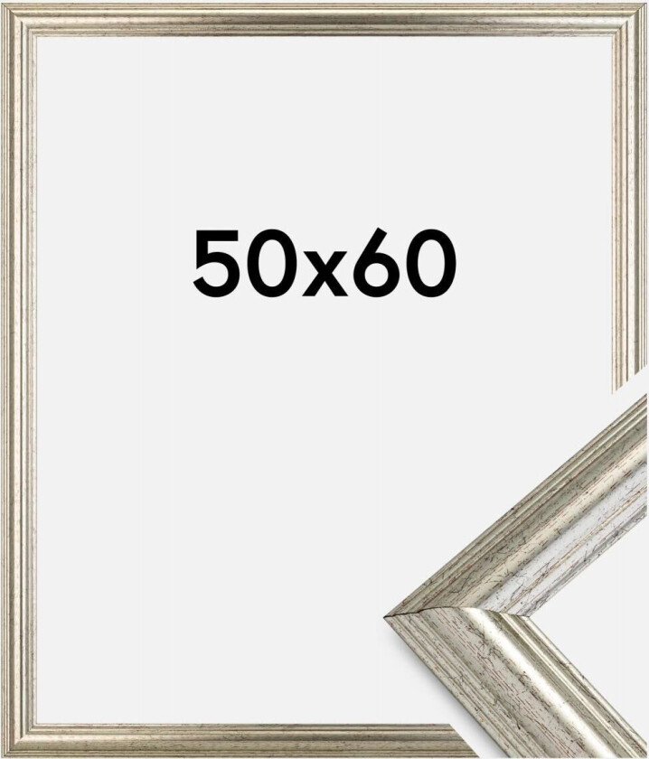 Ramme Västkusten Akrylglass Sølv 50x60 Cm