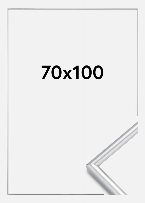 Ramme Galeria Sølv 70x100 Cm