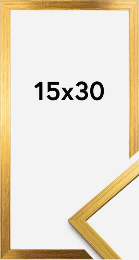 Ramme Edsbyn Akrylglass Gull 15x30 Cm
