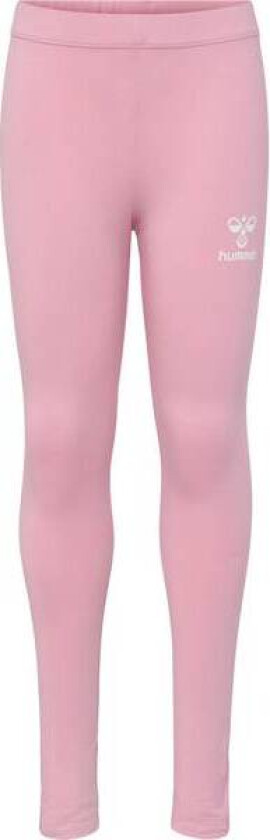 Onze Tights Til Barn, Zephyr