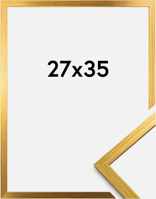 Ramme Edsbyn Gull 27x35 Cm