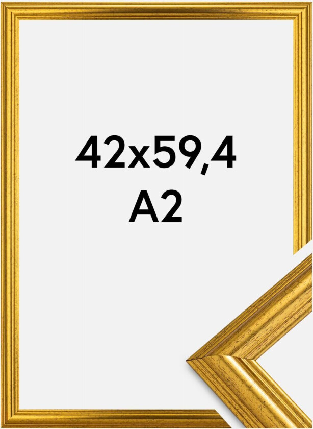 Ramme Västkusten Akrylglass Gull 42x59,4 Cm (A2)