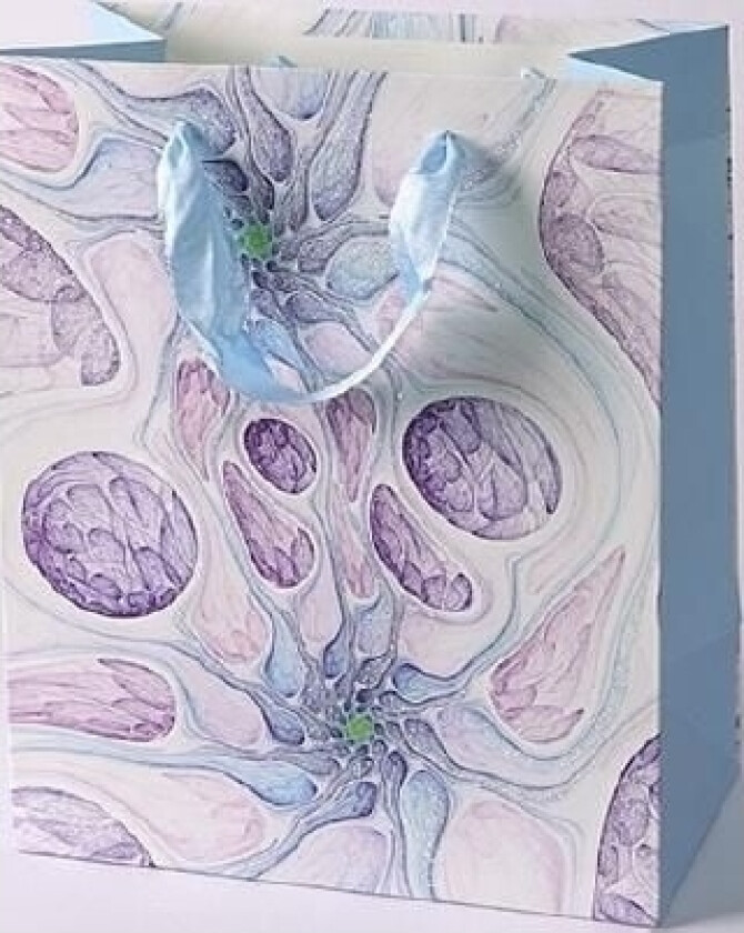 Wds Sandomierz Gavepose L-Sidet (0285-01)