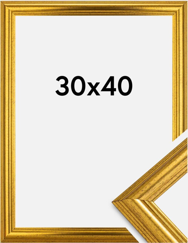 Ramme Västkusten Gull 30x40 Cm