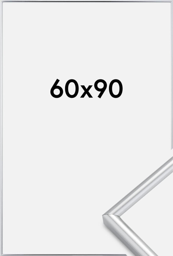 Ramme Galeria Sølv 60x90 Cm