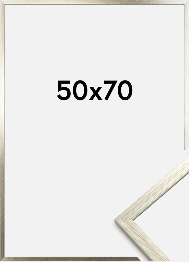 Ramme Edsbyn Akrylglass Sølv 50x70 Cm