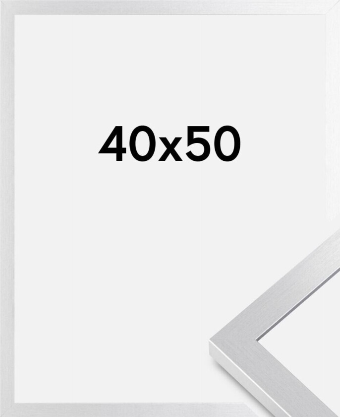 Ramme Selection Akrylglass Sølv 40x50 Cm