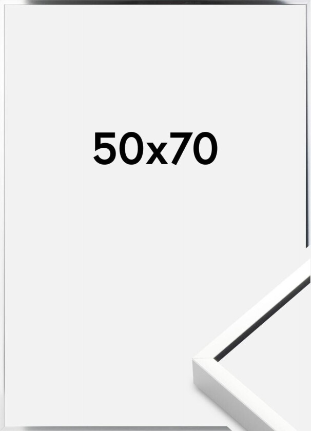 Ramme  Premium Alpha Blank Sølv 50x70 Cm