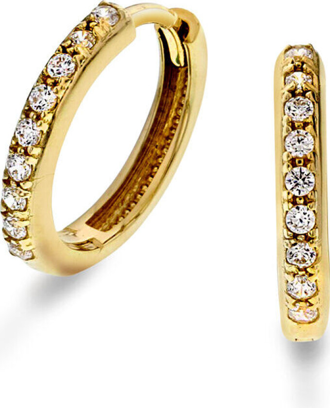 , Øreringer i 585 gult gull med zirkonia