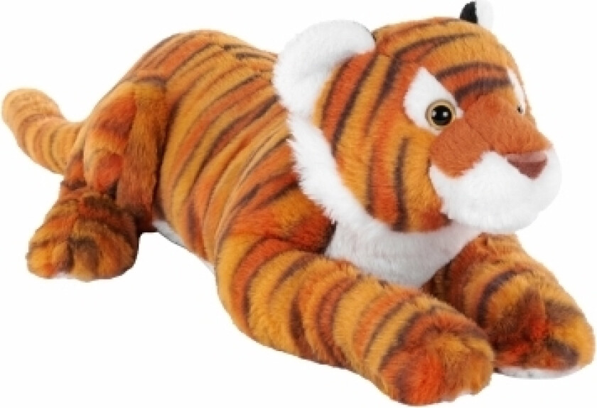 28157, Tiger