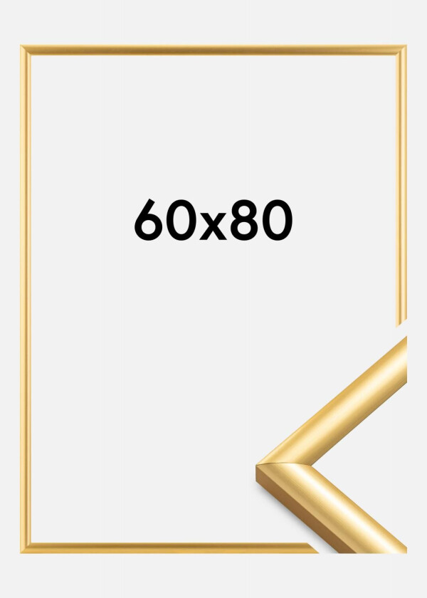 Ramme Trendstyle Gull 60x80 Cm