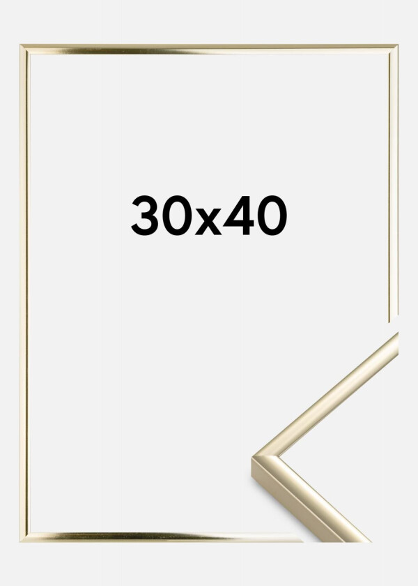 Ramme Aluminium Akrylglass Blank Gull 30x40 Cm
