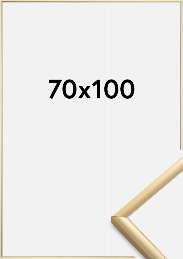 Ramme New Lifestyle Akrylglass Gull 70x100 Cm