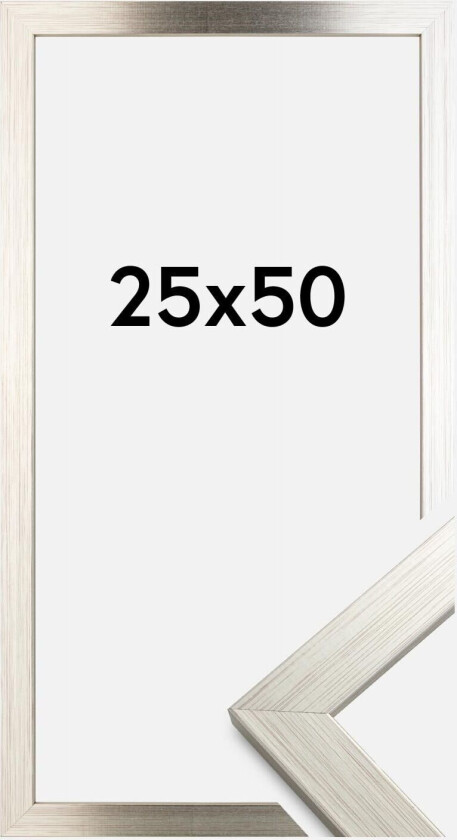 Ramme Silver Wood 25x50 Cm