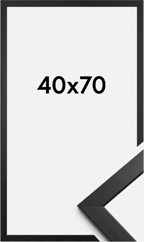 Ramme Stilren Akrylglass Svart 43,2x61 Cm (A2+)