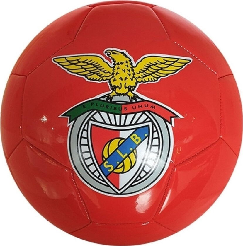 Benfica Fotball R.5