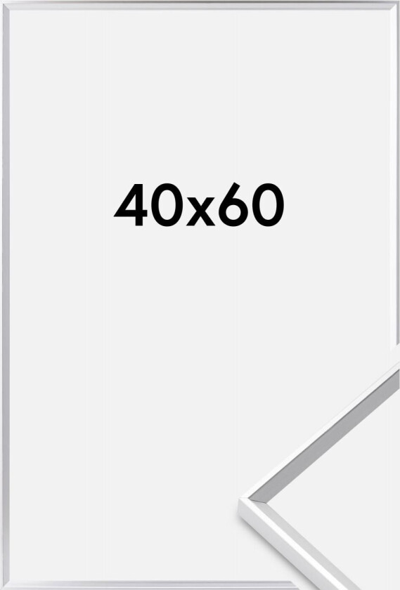 Ramme Desire Akrylglass Sølv 40x60 Cm