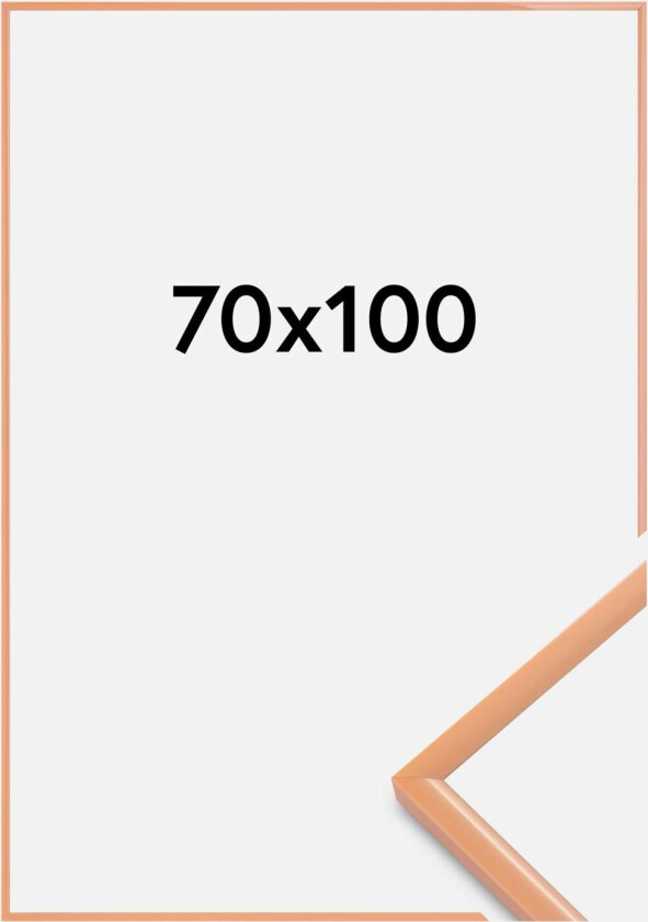 Ramme New Lifestyle Akrylglass Apricot 70x100 Cm