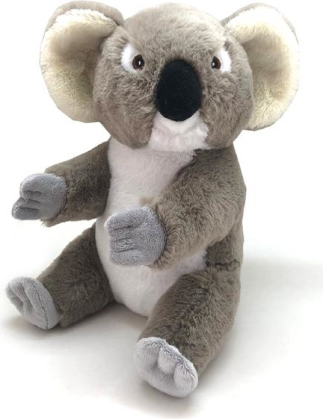 Koala Ecokins, Leke Kola