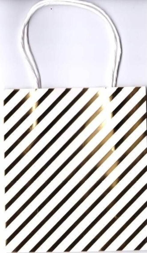 Bispedømmets Forlag Og Trykkeri I Sandomi Xs Gavepose, Gullbelagt 1312-1