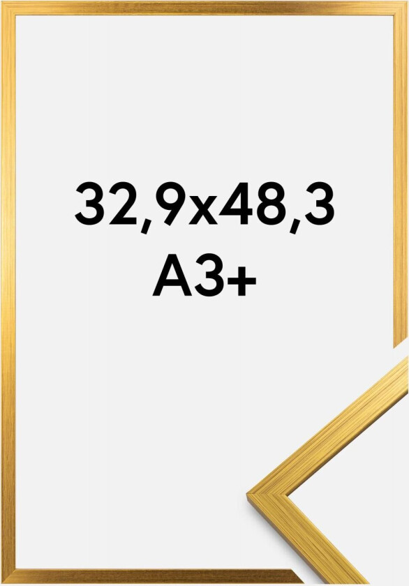 Ramme Edsbyn Gull 32,9x48,3 Cm (A3+)