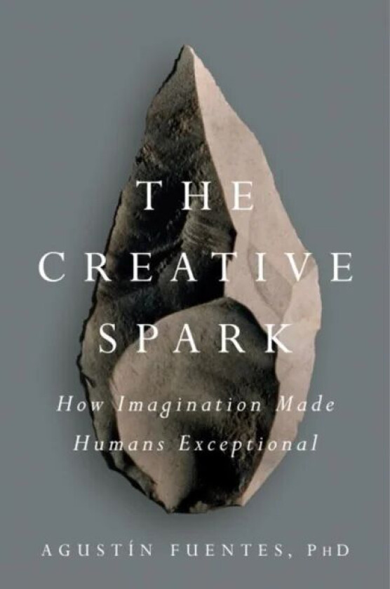 The Creative Spark av Agustin Fuentes