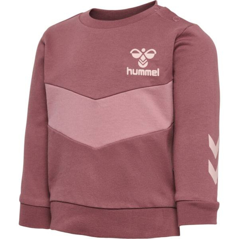 Neel Sweatshirt Rose Brown