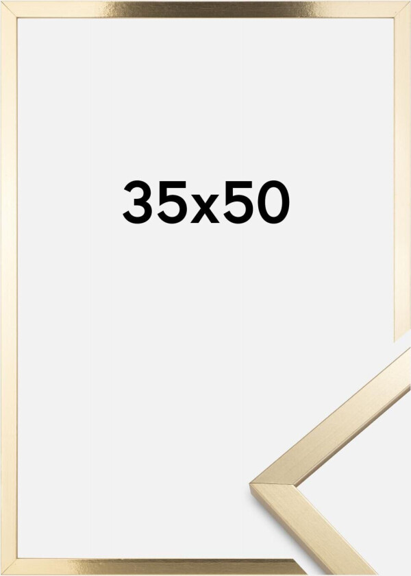 Ramme Trendy Akrylglass Gull 35x50 Cm