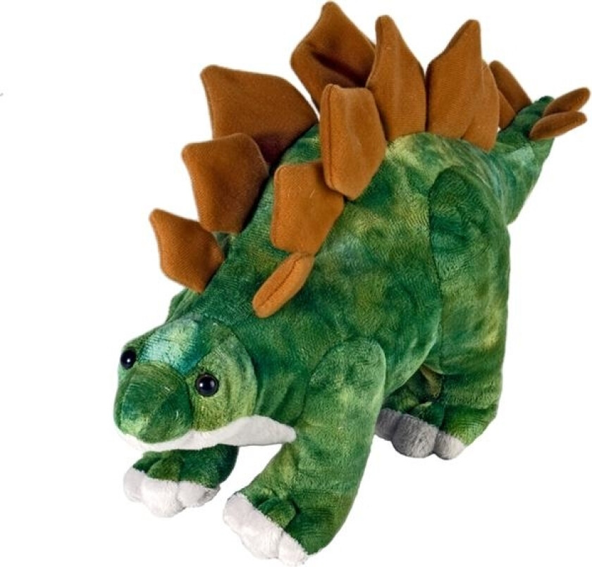 Stegosaurus, Dinosaur