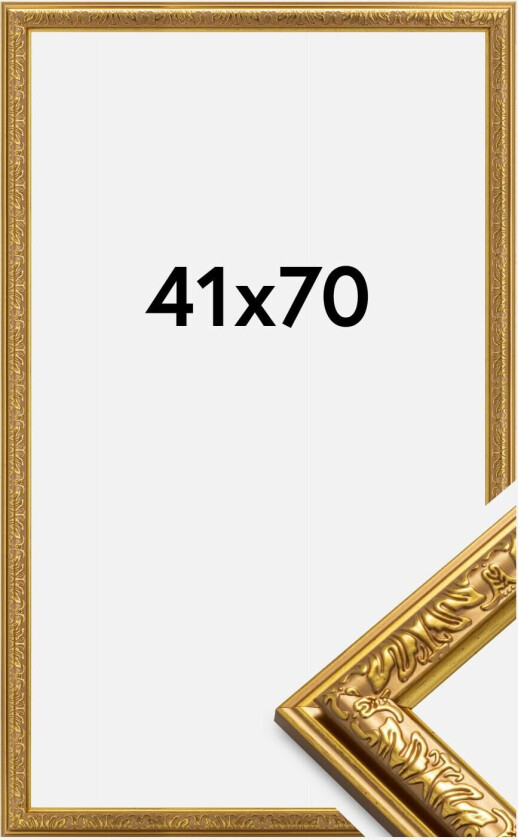 Ramme Nostalgia Akrylglass Gull 41x70 Cm