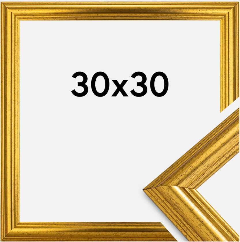 Ramme Västkusten Akrylglass Gull 30x30 Cm
