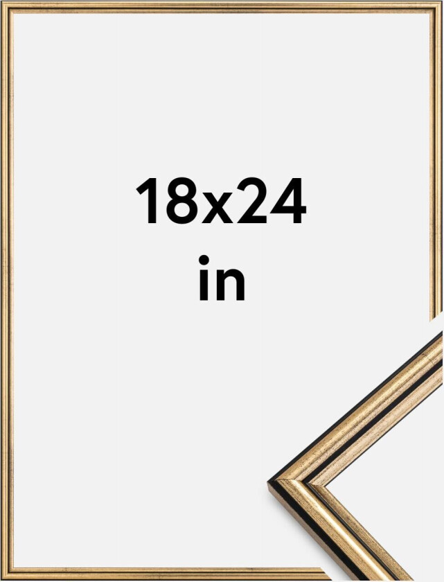 Ramme Horndal Akrylglass Gull 18x24 Inches (45,72x60,96 Cm)