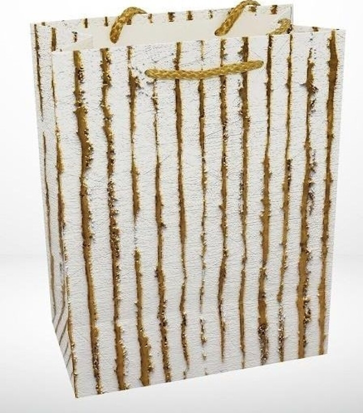 Bispedømmets Forlag Og Trykkeri I Sandomi Gavepose M 1380-1