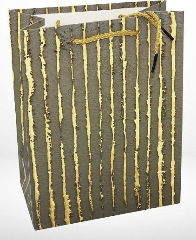 Bispedømmets Forlag Og Trykkeri I Sandomi Gavepose M 1380-2