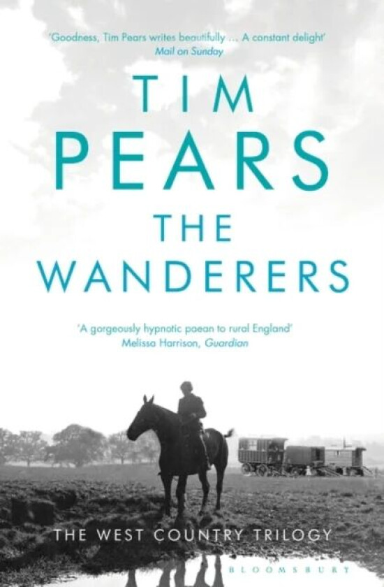 The Wanderers av Tim Pears